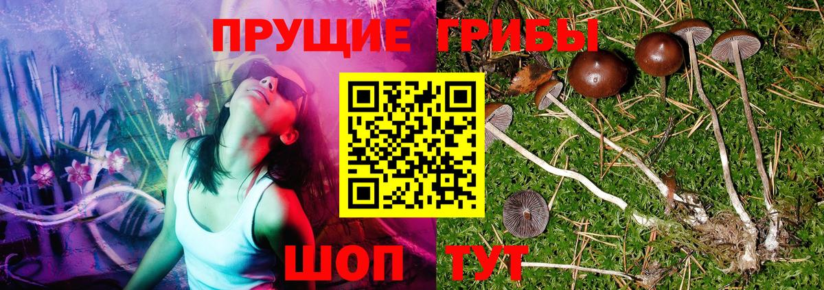 Ростов Великий  Псилоцибиновые грибы мухоморы  Вход с VPN  Псилоцибиновые грибы GOLDEN TEACHER 