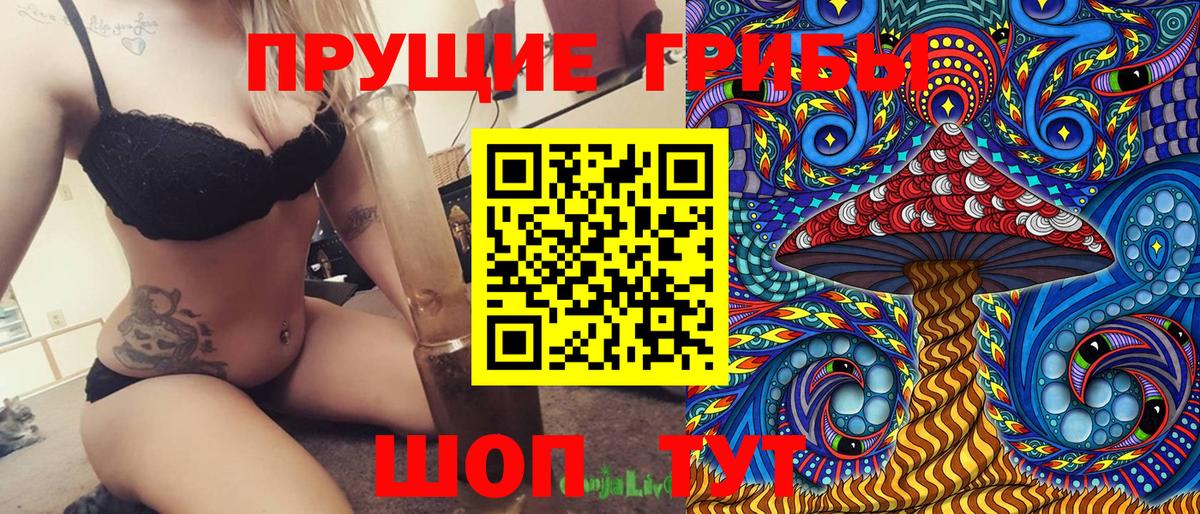 Галлюциногенные грибы Psilocybe Ростов Великий